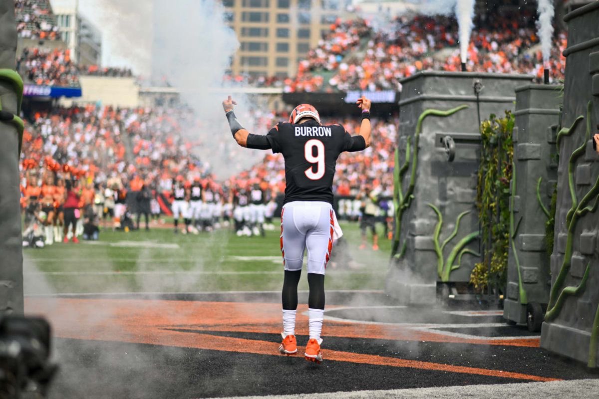 𝘩𝘢𝘯𝘯𝘢 🐅 tweet media