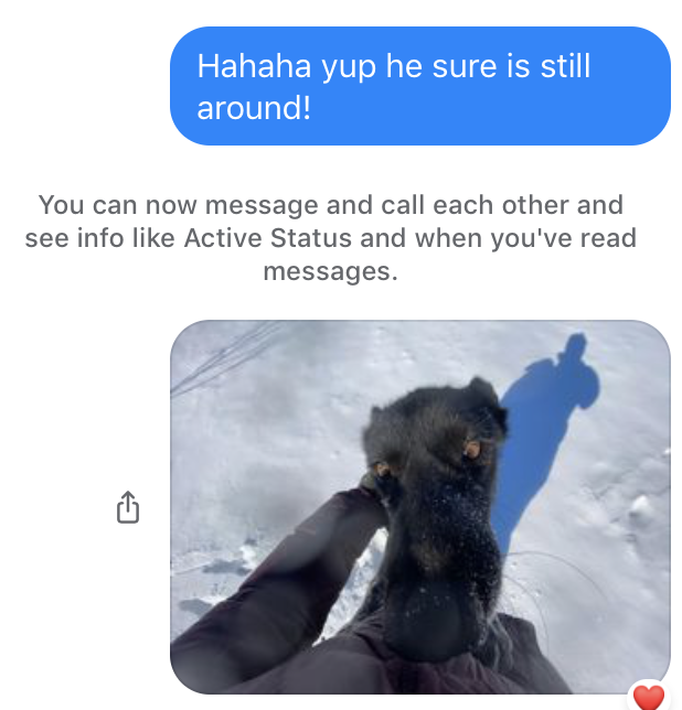 Blair Braverman tweet media