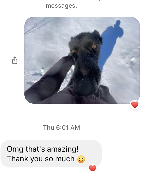 Blair Braverman tweet media