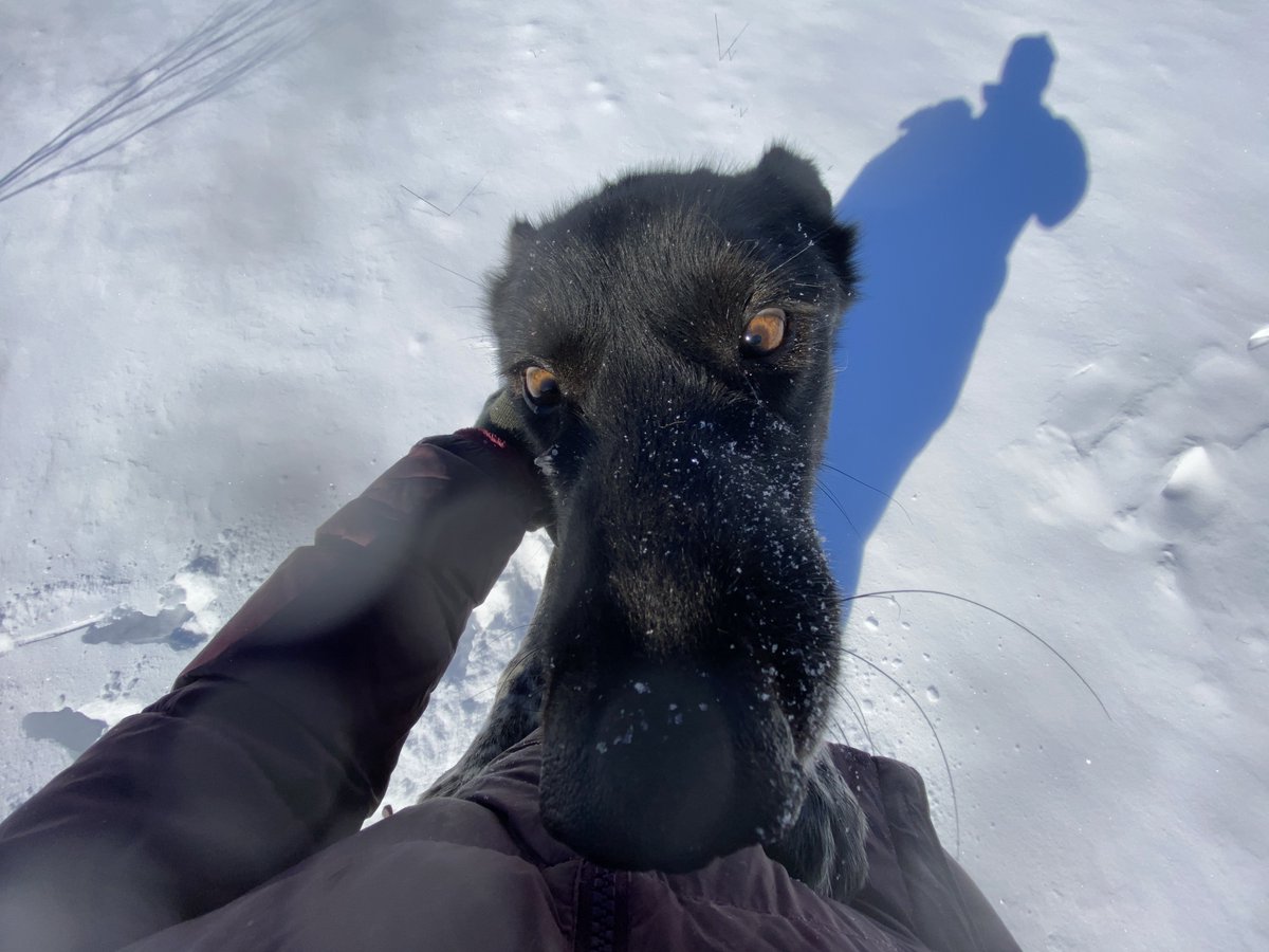 Blair Braverman tweet media