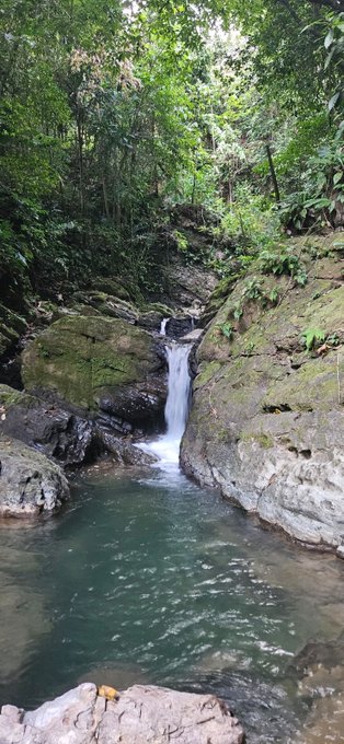 Would you take a dip with me? https://t.co/KLSnFgVfG1