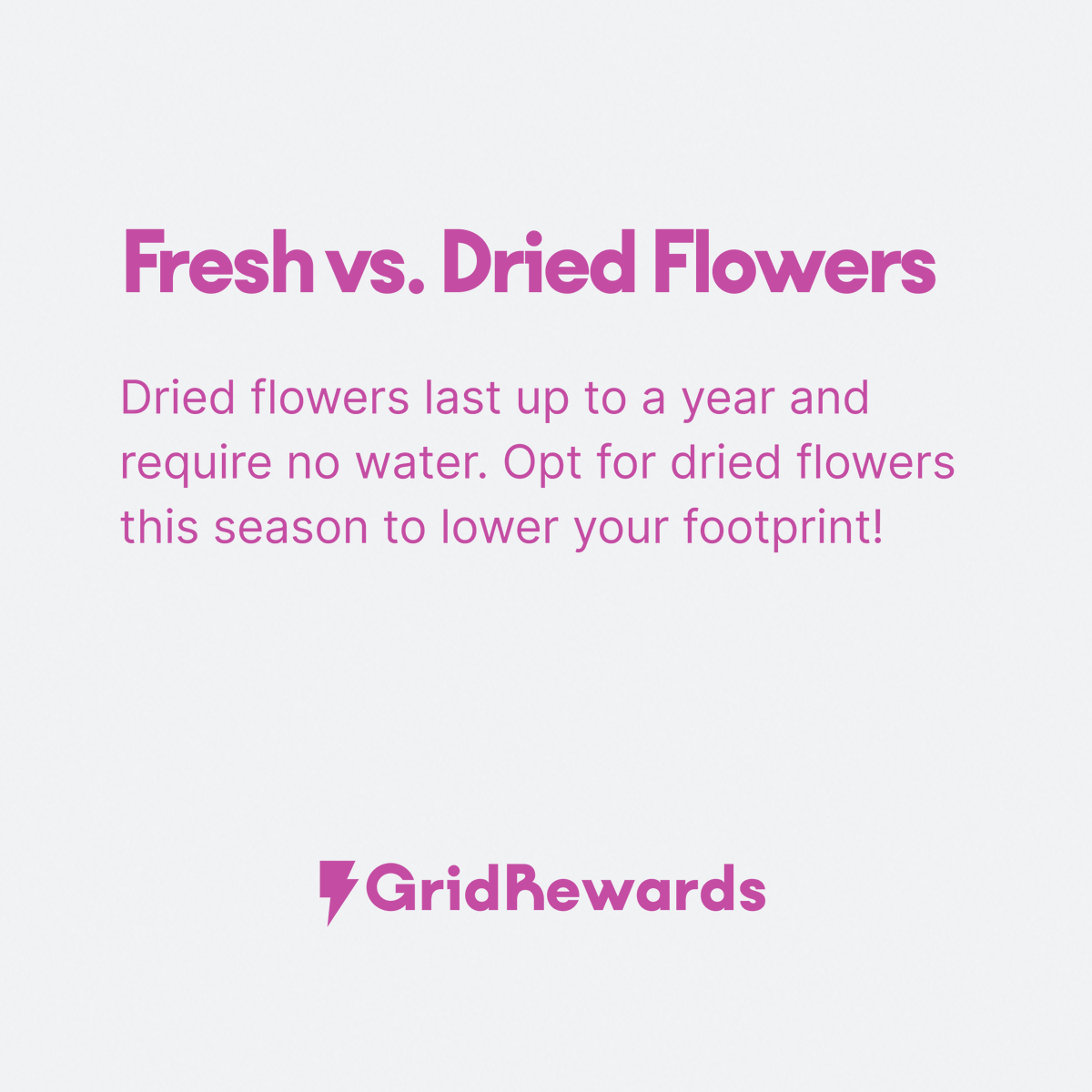 getgridrewards's tweet photo. 💐#ValentinesDay is approaching!

Often, fresh cut flowers are stored in a refrigerated warehouse before being transported in a cargo plane + sent to another refrigerated warehouse. Consider these alternatives for your loved one + your🌍

#carbonneutral #tips #flowerpower https://t.co/daDP3nU7AS