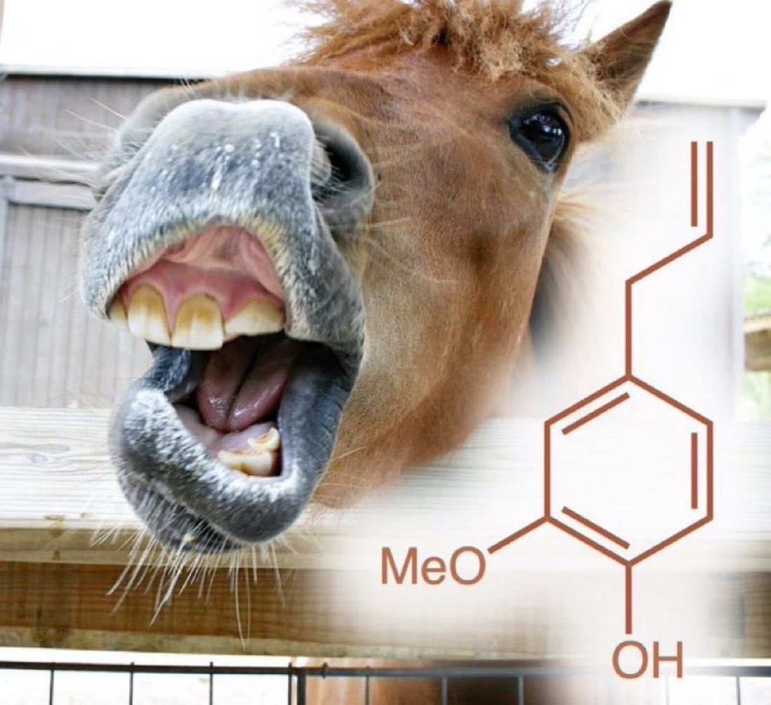 eedcAndy's tweet photo. Bare one's teeth #NationalToothacheDay When you use clove oil for toothache pain, it's the eugenol that provides relief. It is an anaesthetic &amp; antibacterial, that can reduce inflammation in the mouth; used in perfumery, it also attracts some bees #rootofthematter #RealTimeChem https://t.co/IipljxsI3C