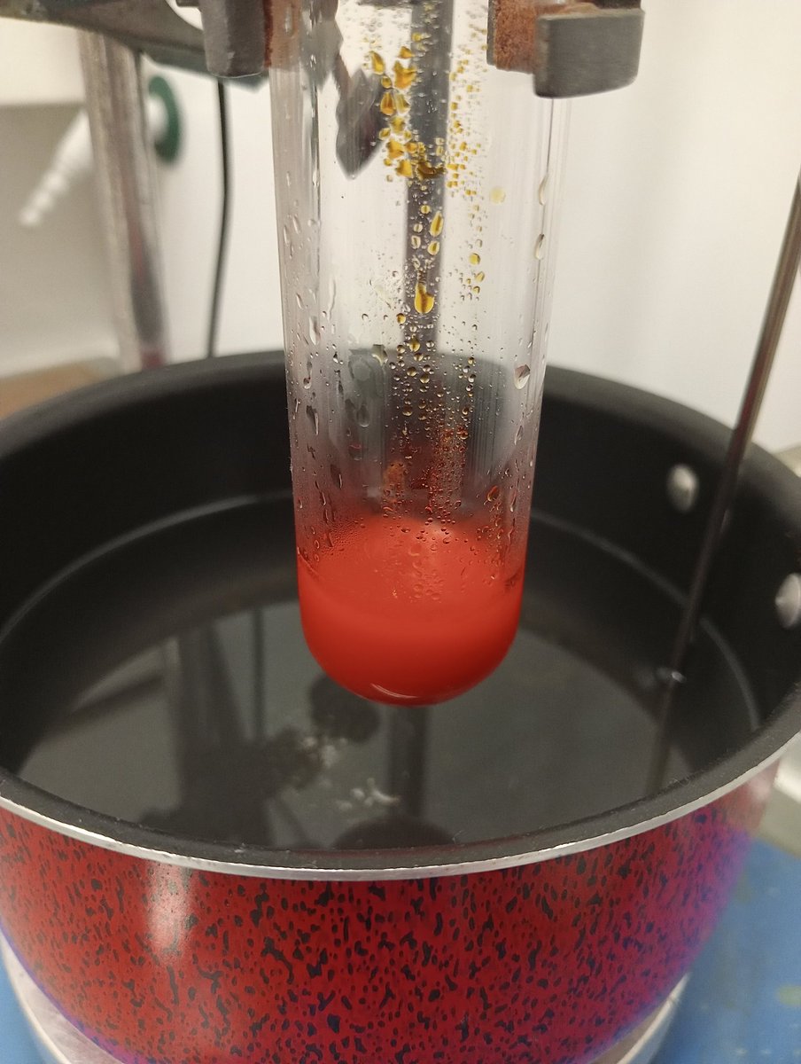 José Alejandro Gandarela tweet media