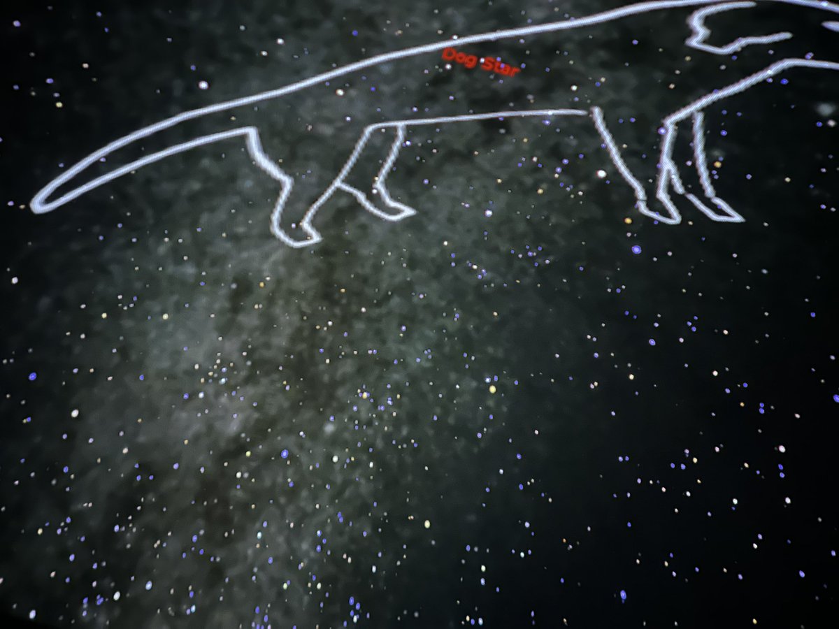 Jackie Heinzelmann tweet media