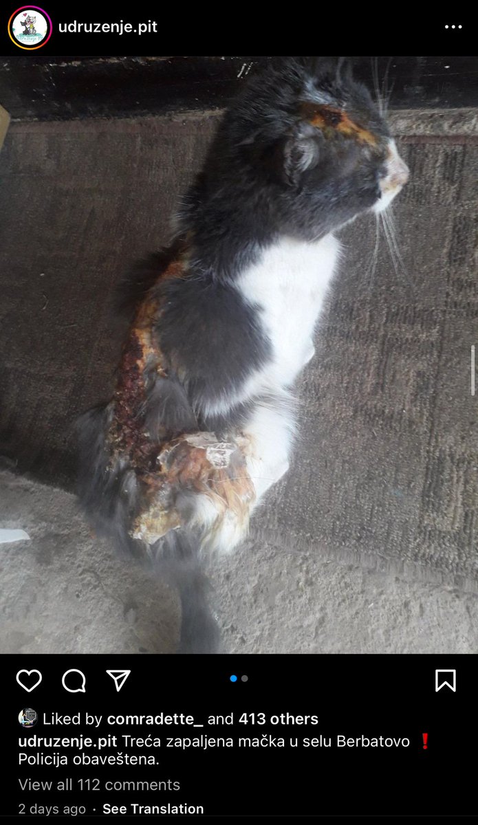 Hoće li u ovoj zemlji ikada da se psihopate koje muče i ubijaju životinje KOJE IM NIŠTA SKRIVILE NISU strogo kazne uz objavljivanje slika i podataka u medijima da svi znamo ko su nam komšije i da nikome više ne padne na pamet da pokuša da naudi ovakvim anđelima