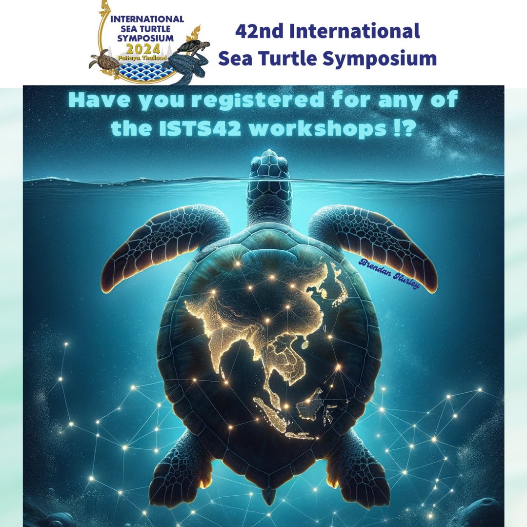🌊🐢ISTS Sea Turtle Symposium tweet media