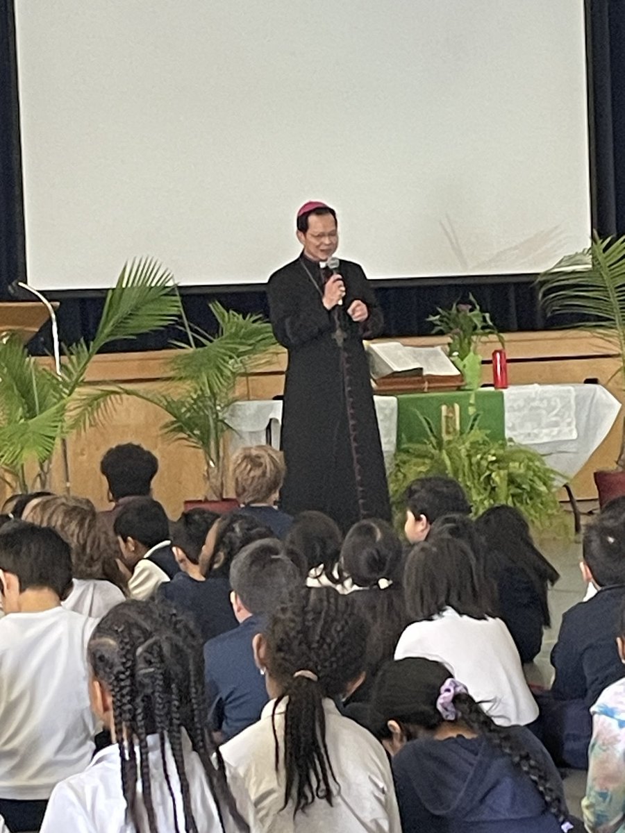 Our Lady of Fatima tweet media