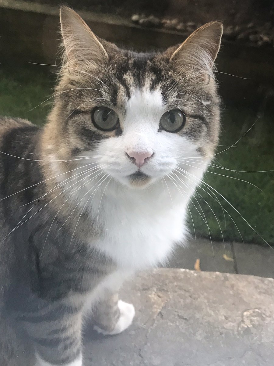 May Miles Thomas tweet media