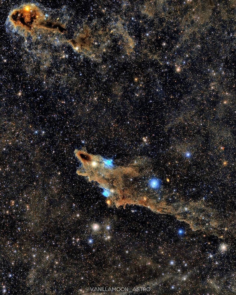 Köpekbalığı nebulası.