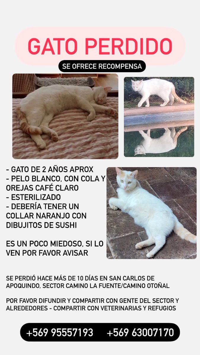 Collie_Flori's tweet photo. https://t.co/8HD49wzmZl