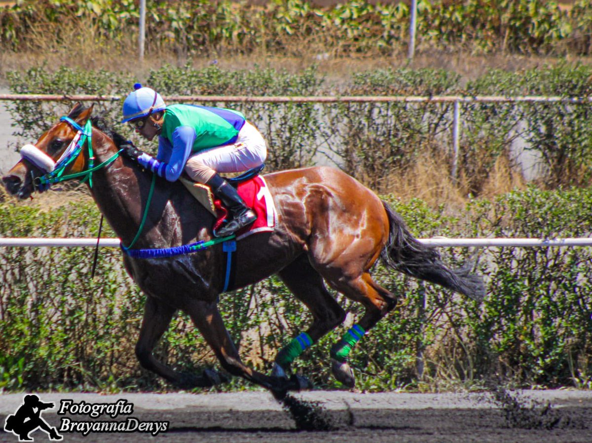 luis_rojas89's tweet photo. KING of the night🏇🌚 la primará de dos triunfo el día martas glorias a dios 👏🏻 https://t.co/aZoD9DhZjI