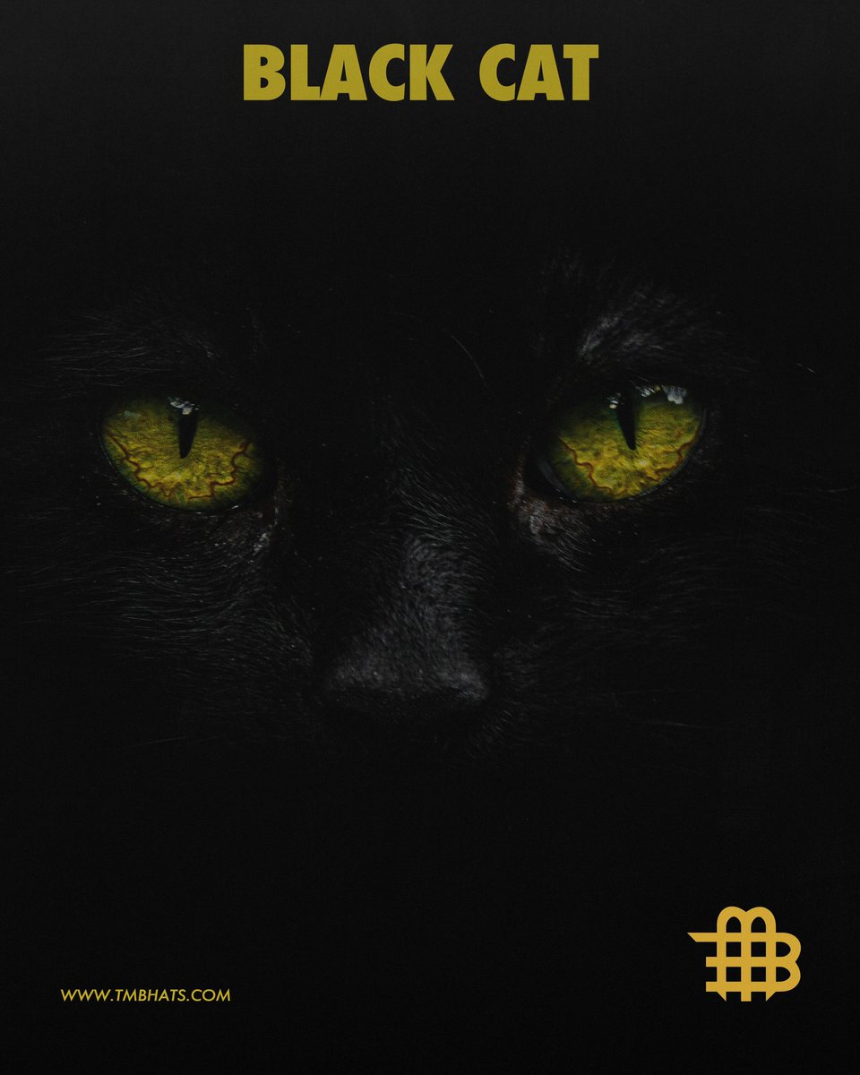 TheMadBrandCo's tweet photo. Get Your Black Cat Trucker Hat Today on Our Website! 🚛📦🧢 https://t.co/NRbhjWe9a9