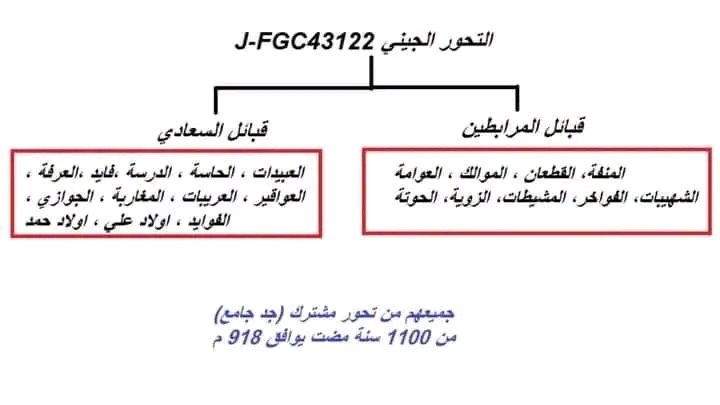 ﮼فرج،المنصوري⚪️⚫️ (@farag_vx) on Twitter photo <a href="/ssbmwasd/">albarony 🧠🫀</a> شوف مشروع برقة الجيني دارو عينات من عدة قبائل من السعادي والمرابطين ويتلاقو عند التحور J-FGC43122 وتعود اصولهم لبني سليم من الجزيرة العربية <a href="/ssbmwasd/">albarony 🧠🫀</a> شوف مشروع برقة الجيني دارو عينات من عدة قبائل من السعادي والمرابطين ويتلاقو عند التحور J-FGC43122 وتعود اصولهم لبني سليم من الجزيرة العربية