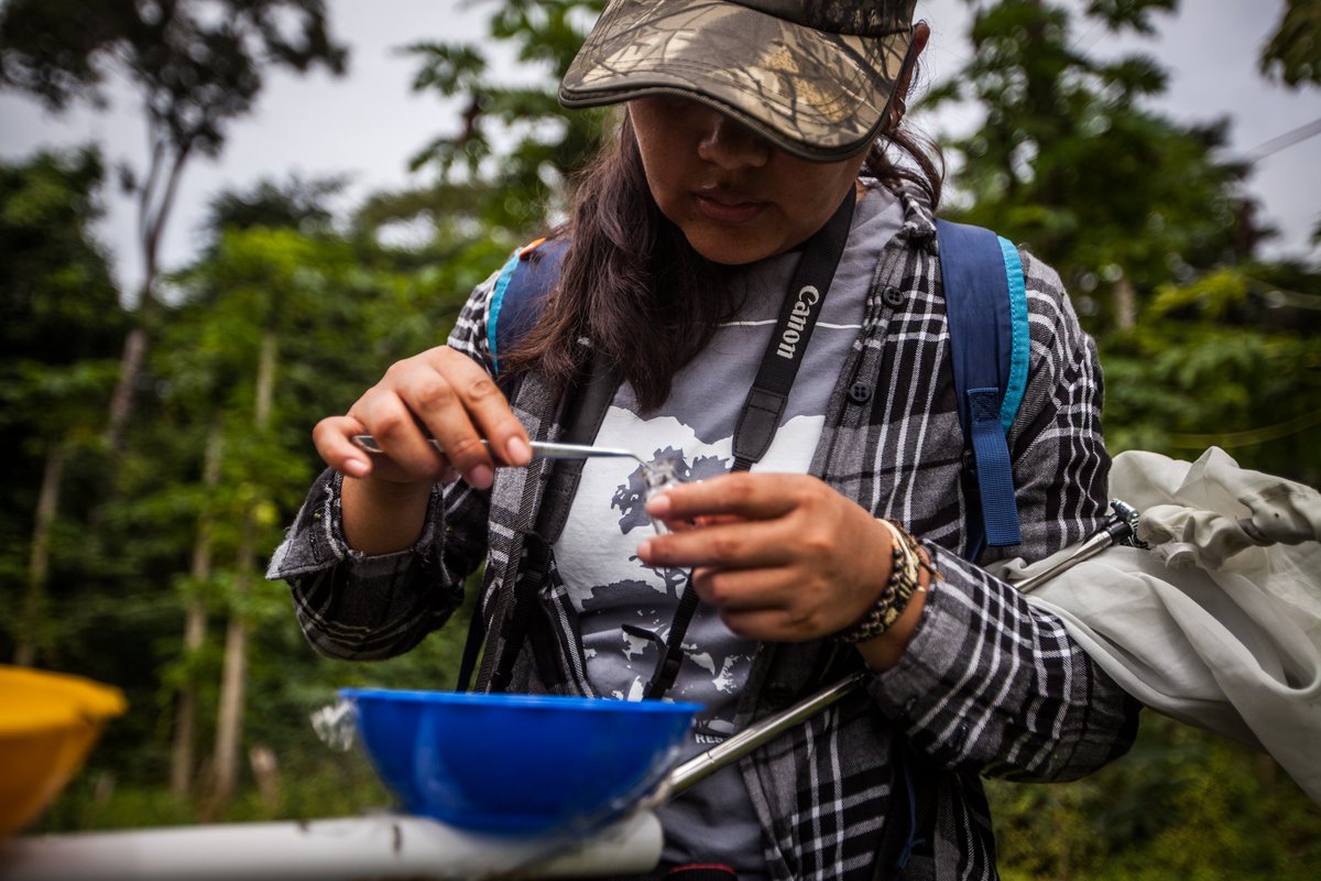 🔬 Happy International Day of Women and Girls in #Science 🌱 #IDWGIS #IamModelForest #GenerationRestoration @FAOForestry @GPFLRtweets @CIFOR @CATIEOficial @NRCan @IUCN @IUCN_forests