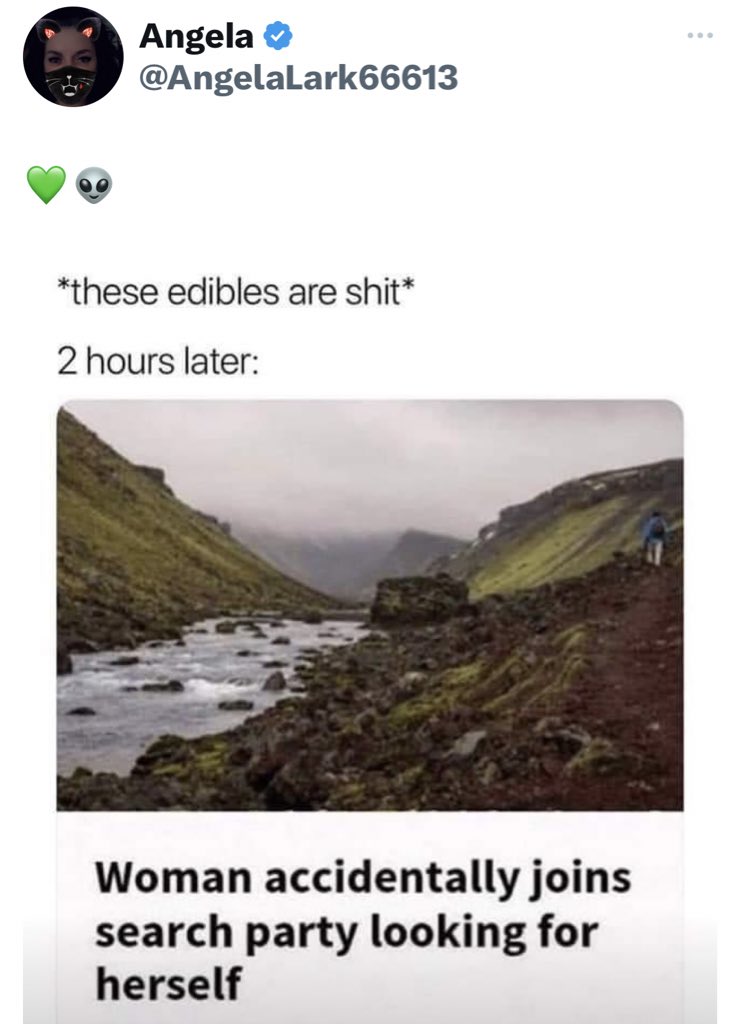 <a href="/GeniusPothead/">GeniusPothead 💹🧲</a> Unless you’ve gotten lost and then joined a search party to find yourself 🤪💚👽💚