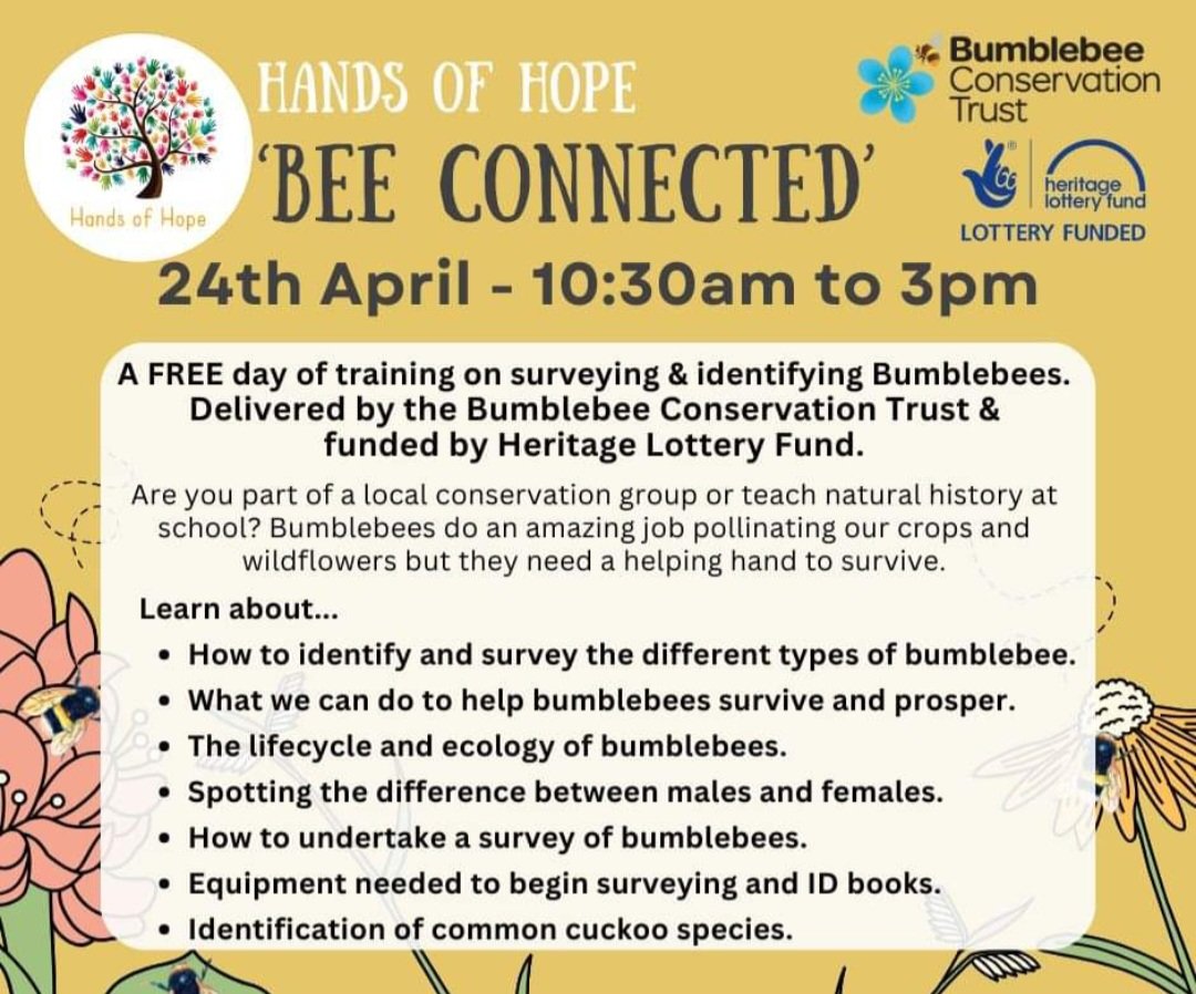 Come and join us for a free bumblebee beginners course @HandsofHopeUK in Hawkhurst, Kent hohcharity.co.uk @BumblebeeTrust #bumblebee #pollinators #Bee #conservation