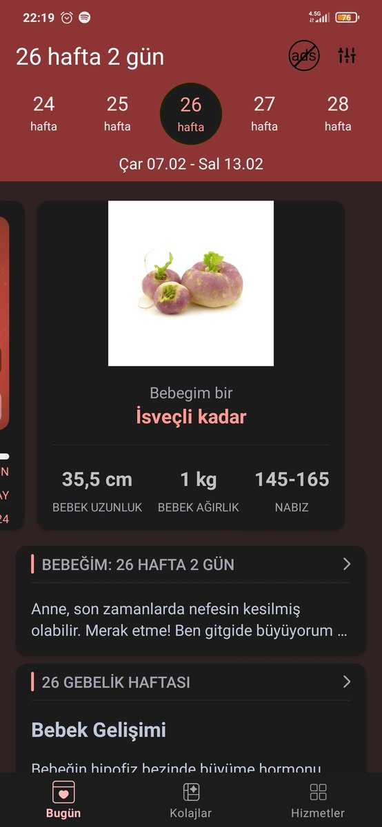 Nasıl yani cüce bi isveçli mi