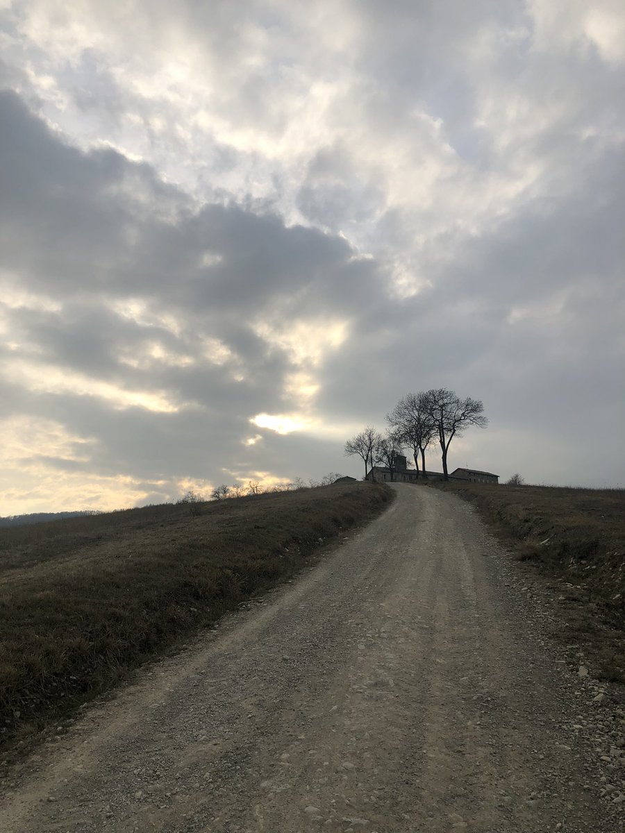 Simonetta Montanari tweet media