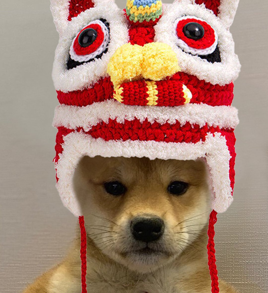 eth_dogwifhat's tweet photo. 新年快乐 🐉！#dogwifhat https://t.co/dhHaW6dg9Q