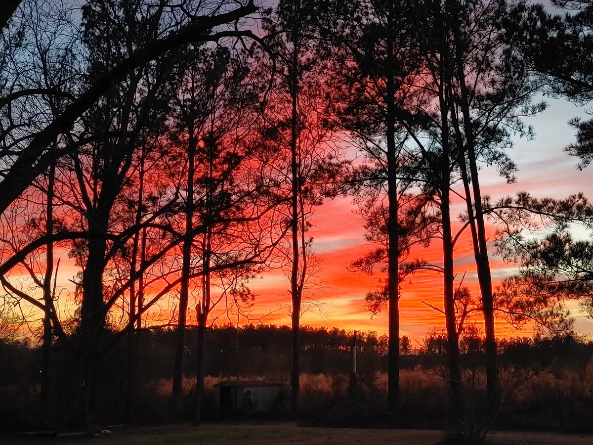 Hub Reynolds Jr Photography tweet media