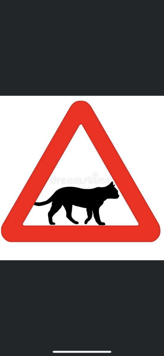 <a href="/Carmen__Ferrer/">Carmen Ferrer Torres</a> Los animales no humanos,señora alcaldesa <a href="/Carmen__Ferrer/">Carmen Ferrer Torres</a>  y en particular los gatos comunitarios necesitan su ayuda también por favor.
No es un favor que solicitamos,la ley 7/2023 de defensa de los animales establece las responsabilidades sobre ellos.Gracias.