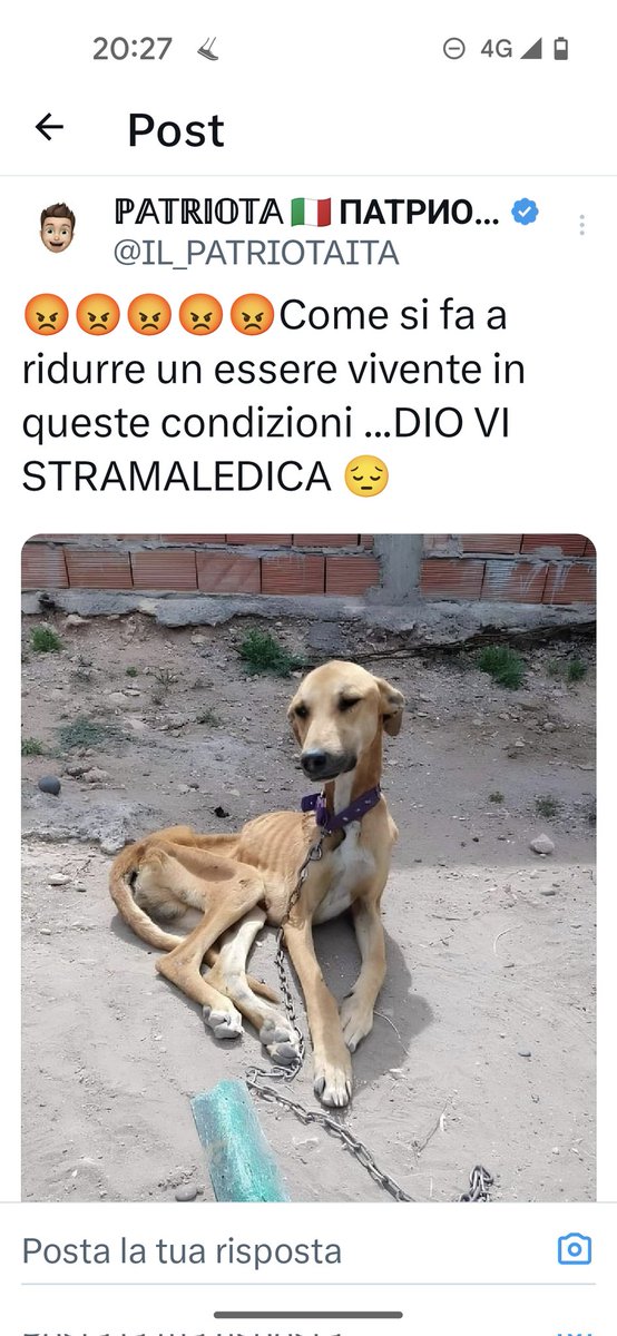 TI PREGO MANDA NOTIZIE SU QUESTO CAGNOLINO👍👍👍👍👍👍😪🙏🙏😪🙏😪😪
