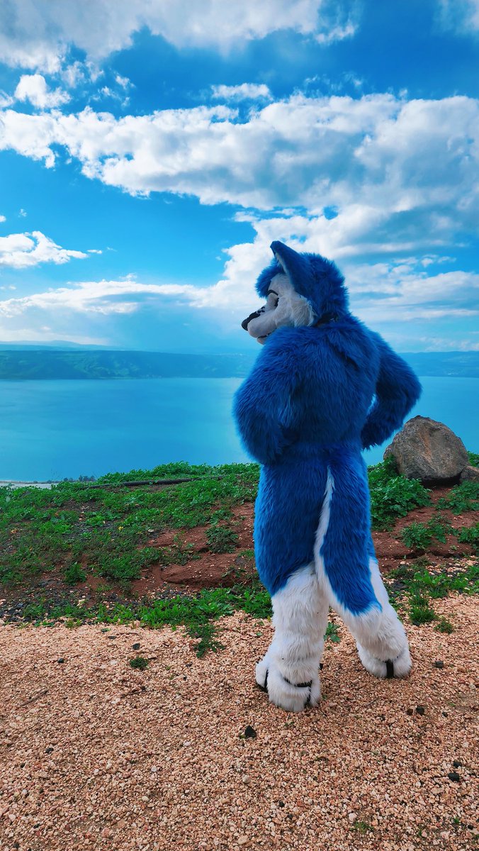 Nothing like some high hills air! Happy #FursuitFriday 💚