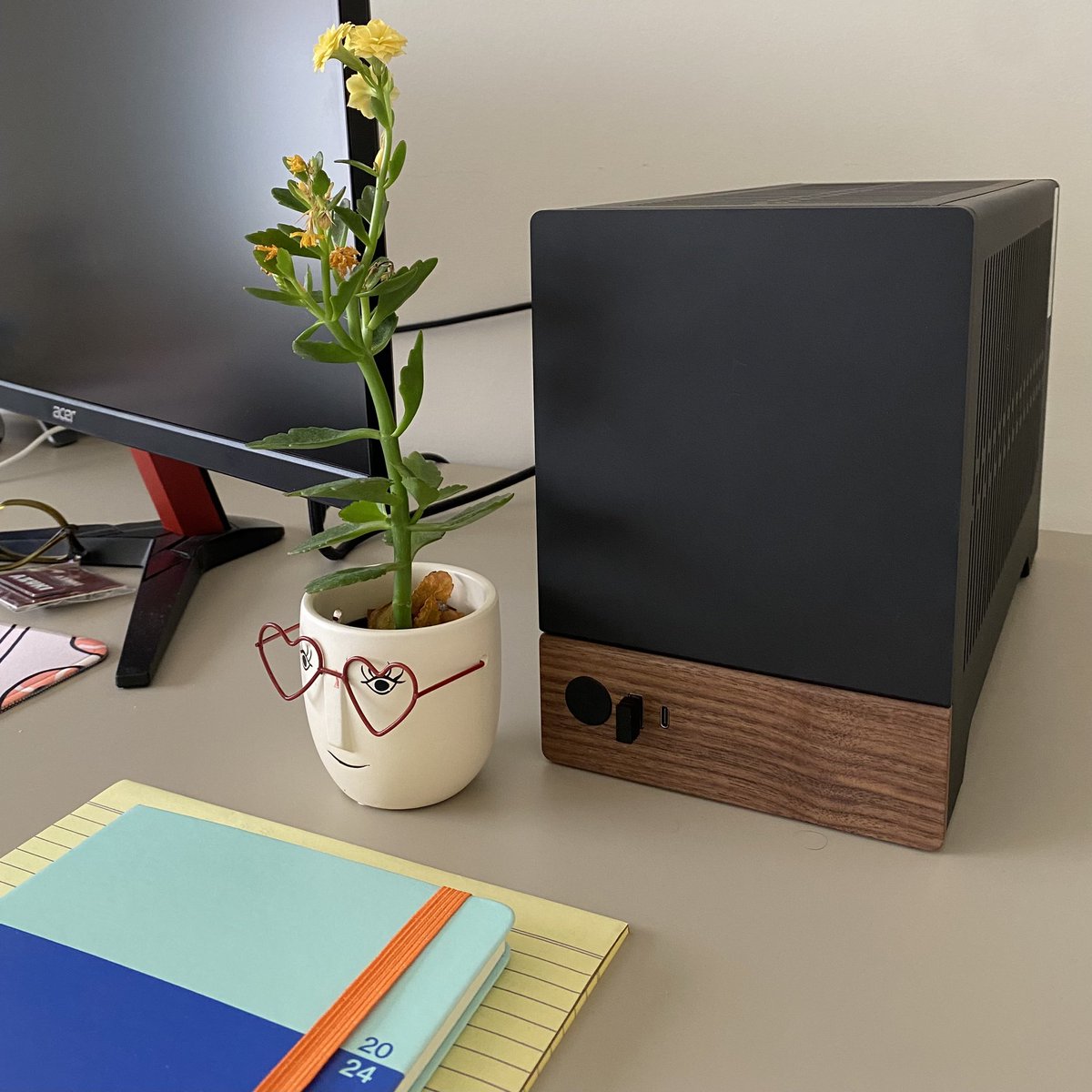 Monstera ✨ tweet media