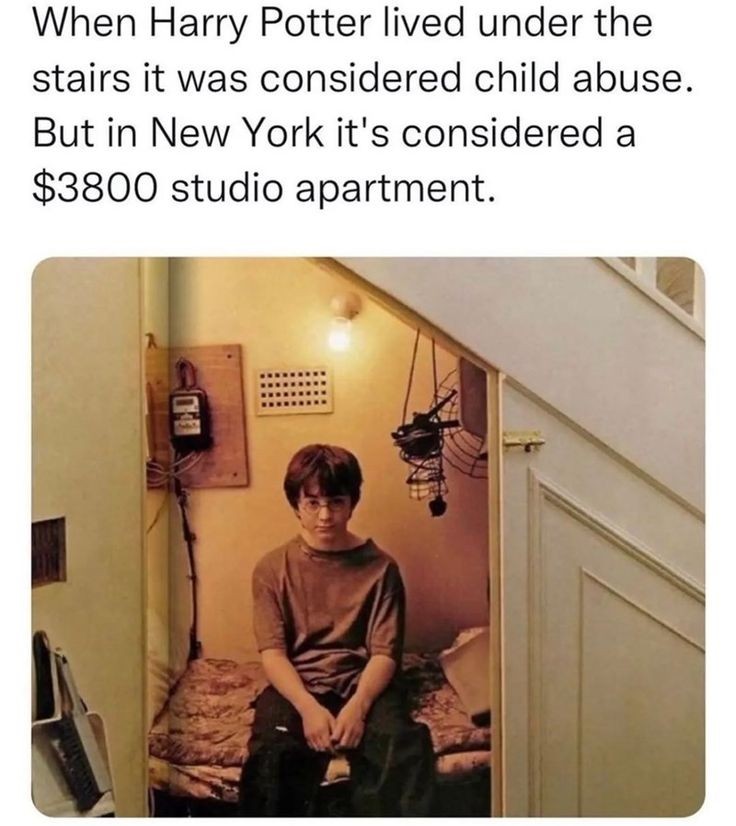 The cupboard under the stairs isn't all that bad #harrypotter #harrypottermemes #hogwarts #ronweasley #thedursleys