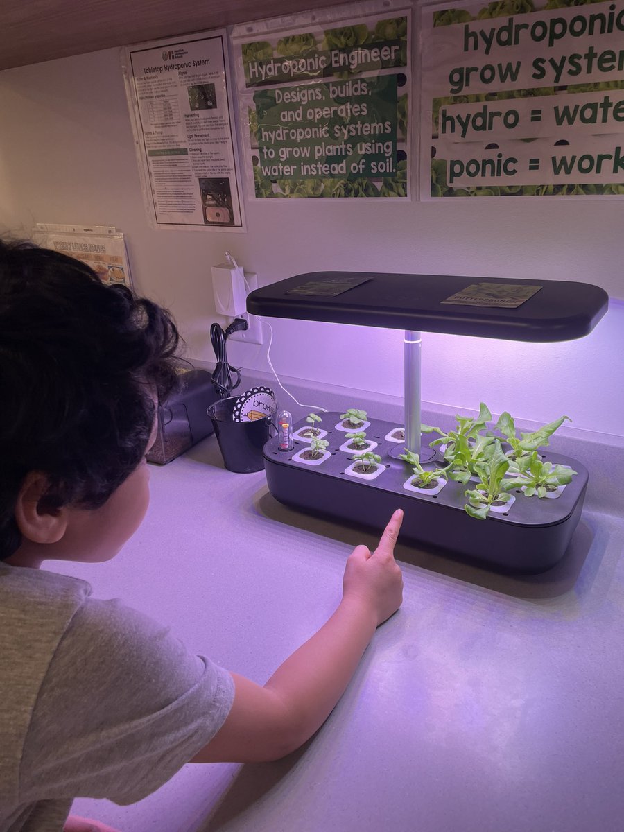 So many observations and questions 🌱🌱