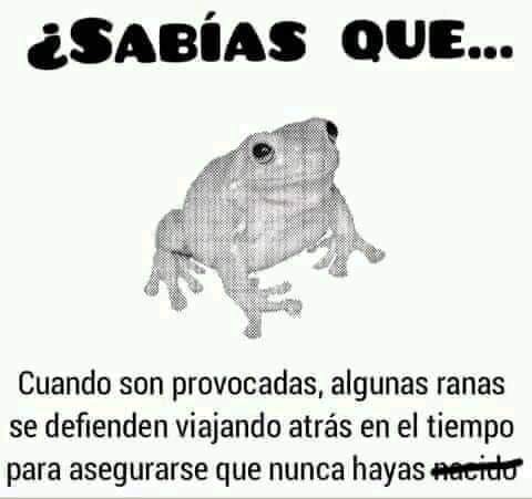 aaroncamposmen1's tweet photo. @Texquieremorirc https://t.co/CP5IoSctsj