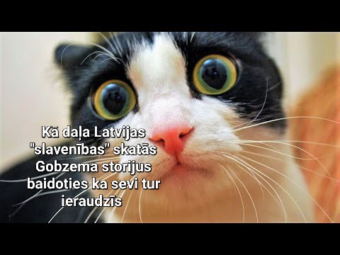 __Sindya___'s tweet photo. Visi tagad grauž nagus, liek profilus uz private un baidās ka tik sevi neierauga Gobzema "Purvā" storijos 
#aldisgobzems  #purvā #Latvija  #Latvijasslavenības #lvmediji https://t.co/fDASRd4qHe