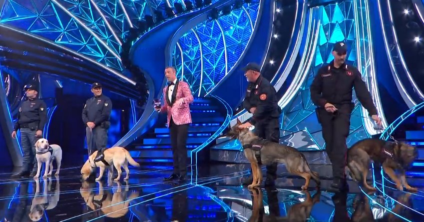 ragionedistato's tweet image. "Forza, alla ricerca di Renga e Nek"
#Sanremo2024