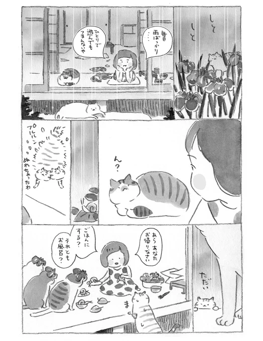 「ねこのほそみち」から 