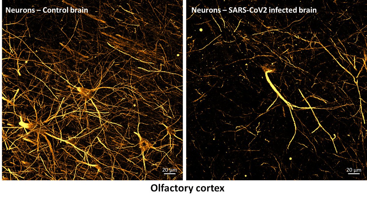 Danielle Beckman tweet media