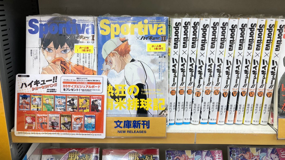 ハイキュー‼︎ ショーセツバン!! アニメイト特典 ビジュアルボード 全13種 アニメイト限定特典】ハイキュー ショーセツバン ビジュアルボード全13