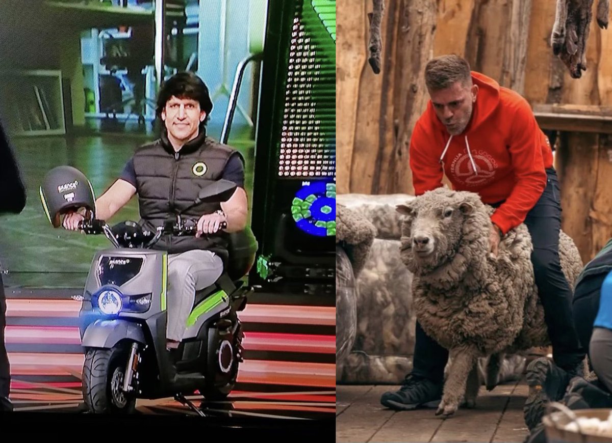 De los creadores de Eneko van Motereke llega la Dolly de Busturia #conquis3etb #elconquis #debate <a href="/davidseco1/">david seco</a> <a href="/elconquis_etb/">El Conquistador ETB</a>