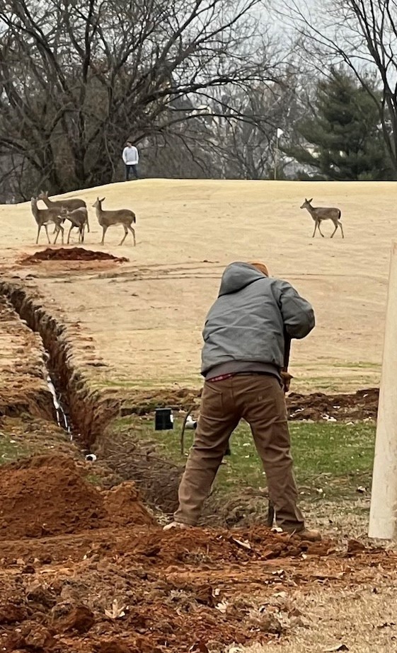 Bowling Green Parks and Recreation employee Michael Reynolds is working to install an irrigation system at Hobson Grove Golf Course as a family of deer watch the progress.  - Photo taken by Charles Ledford.