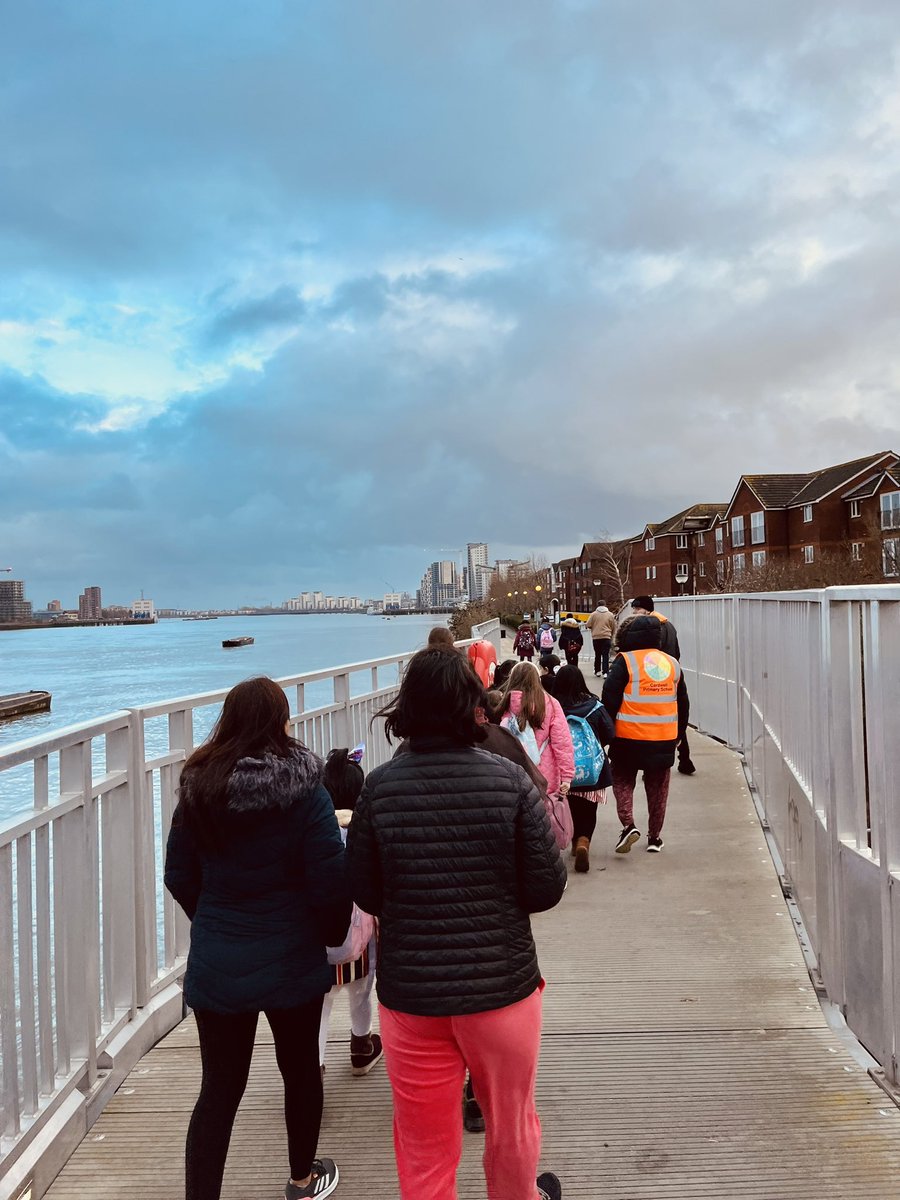 Cardwell Primary tweet media