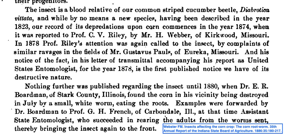 talkingrootworm's tweet photo. “The Good Old Days” #Corn #rootworms #CRW are perennial pests, but only for the last 150 yr. In post-Civil War America, vast areas of corn cultivation allowed CRW to use corn as its new host. The 1st #NCR pest record is from 1874 in MO. Before corn was king, CRW were scarce. https://t.co/A6aDygNuO7