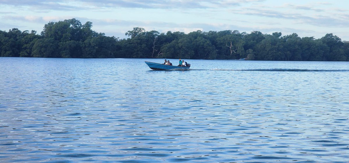 NMoskitiahn's tweet photo. #Muskitia #Paisajes #Honduras
Gracias por compartir la postales.
Crédito: #AlejandroCastillo https://t.co/pTICawaILQ