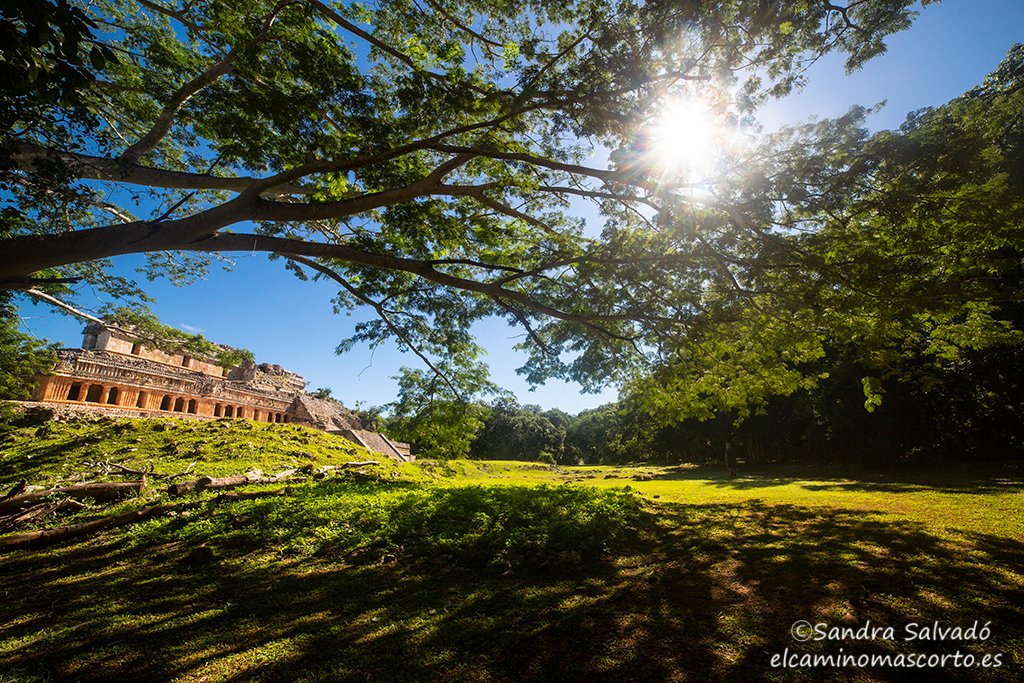 Sayil te atrapa, ver el Gran Palacio entrando es algo impresionante. Este edificio albergó 90 recámaras, es colosal.
Descubre qué te espera en Sayil👉🏽 goo.gl/E4Hk6n

#sayil #rutapuuc #Yucatan
