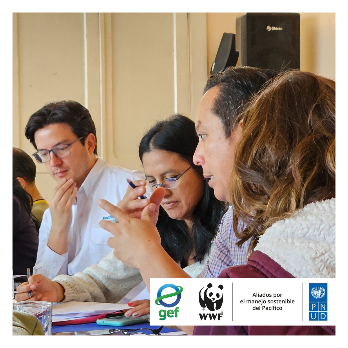 WWF_MAR's tweet photo. 🌊🇬🇹 Guatemala se suma a nuestro esfuerzo en el Proyecto #PacíficoSostenible. En colaboración con el @marnguate, #DIPESCA, @inabguatemala, @CEMA_USAC y @fundaecoguate, damos pasos firmes hacia la definición de indicadores que proporcionarán una perspectiva más completa de la región del Gran Ecosistema Marino del Pacífico Costero Centroamericano.
Asegurando un seguimiento preciso, fomentamos prácticas sostenibles. 🐟🌎
#GEF #PNUD #Guatemala #Conservación #Pacífico