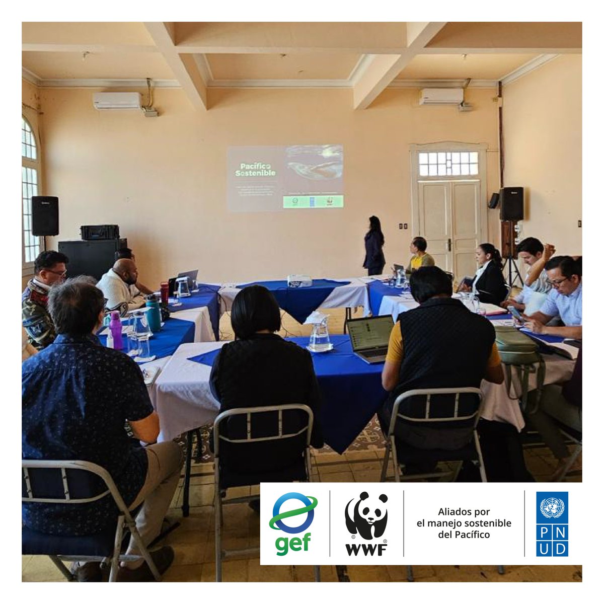 WWF_MAR's tweet photo. 🌊🇬🇹 Guatemala se suma a nuestro esfuerzo en el Proyecto #PacíficoSostenible. En colaboración con el @marnguate, #DIPESCA, @inabguatemala, @CEMA_USAC y @fundaecoguate, damos pasos firmes hacia la definición de indicadores que proporcionarán una perspectiva más completa de la región del Gran Ecosistema Marino del Pacífico Costero Centroamericano.
Asegurando un seguimiento preciso, fomentamos prácticas sostenibles. 🐟🌎
#GEF #PNUD #Guatemala #Conservación #Pacífico