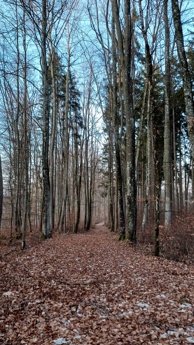 G.J Frei - Geist 👻 (@hotzgerd) on Twitter photo 