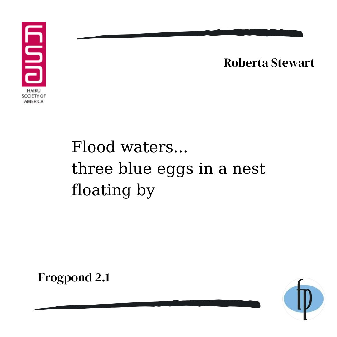 frogpondjournal's tweet photo. Here's a #haiku by Roberta Stewart from issue 2.1, published in 1979.
Come #read an issue of Frogpond Journal!
Share your #poems with us.
#frogpond
#flood
#nest
#eggs
#blueeggs https://t.co/aB40GRPg7U