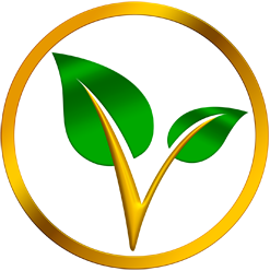 iqmojo's tweet photo. 13/ ) #vitaetoken and https://t.co/8RUlCDeCgg was my vision from God that brought me to my knees in a humble, thankful, and tearful joy. The process of using Gods word in the design resonated and helped bring over 200,000 members into the platform. Forseeing the censorship and https://t.co/WsKhrCOwBX