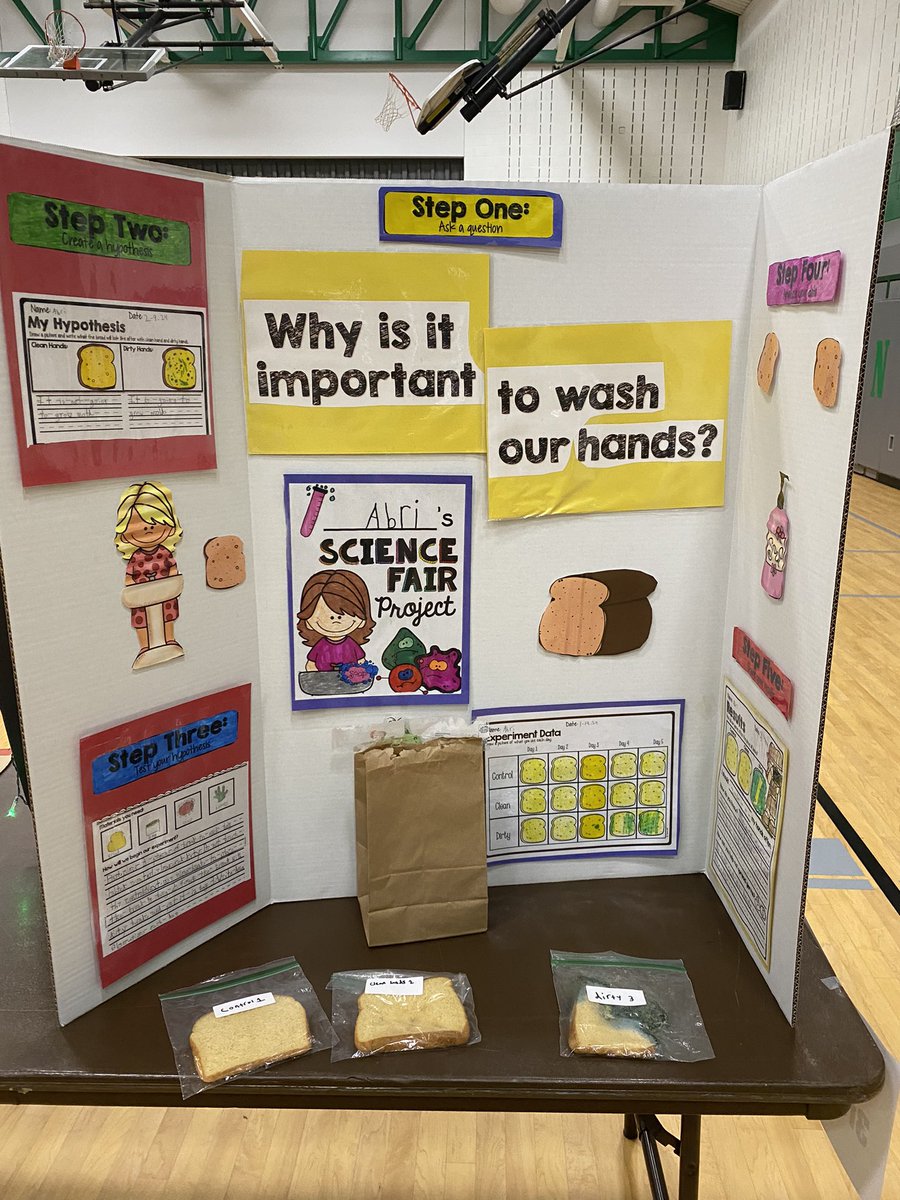hellomrsrello's tweet photo. Loved visiting the science fair this afternoon! Thanks @MissPluymers for another amazing year of science projects 🧬 🧪 https://t.co/tNy5W6iMYv