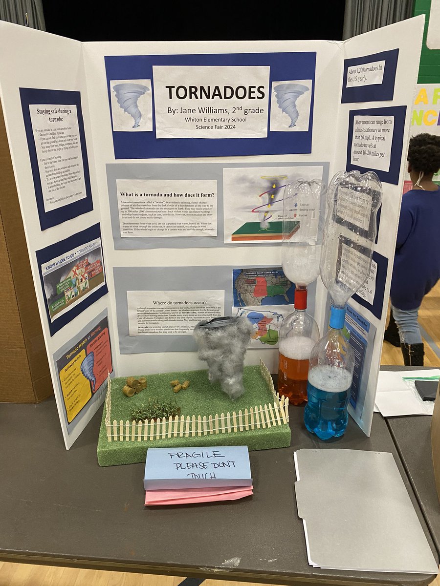hellomrsrello's tweet photo. Loved visiting the science fair this afternoon! Thanks @MissPluymers for another amazing year of science projects 🧬 🧪 https://t.co/tNy5W6iMYv